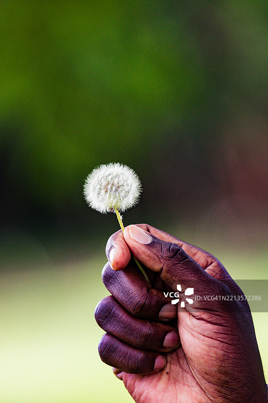 安东尼·特里维特在肯尼亚东非内罗毕市县的婚礼图片素材