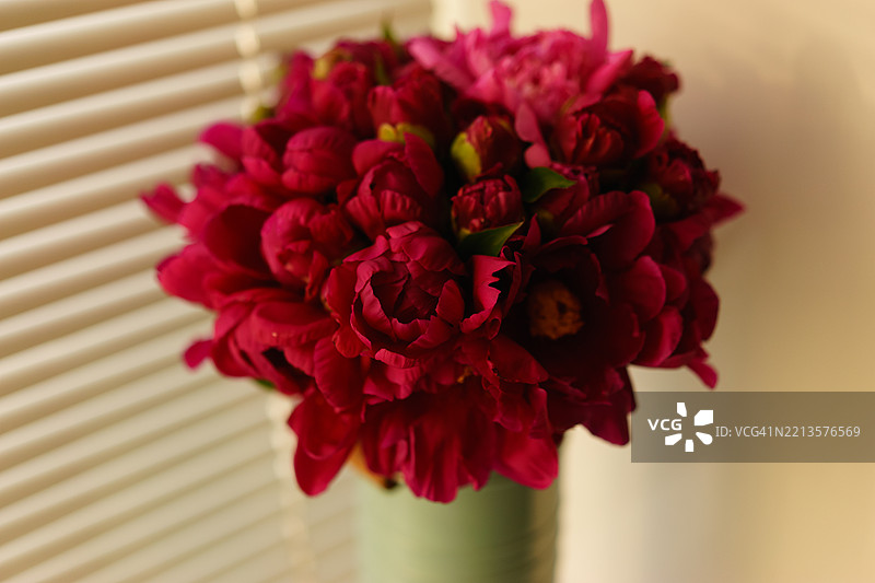 桌子上花瓶里的红色花朵特写图片素材