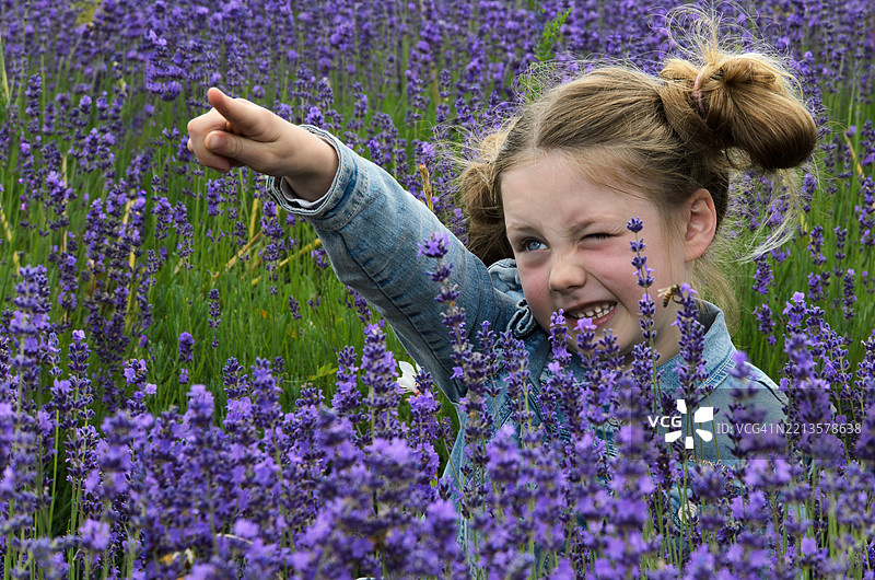 一个女孩在薰衣草中指向远方图片素材