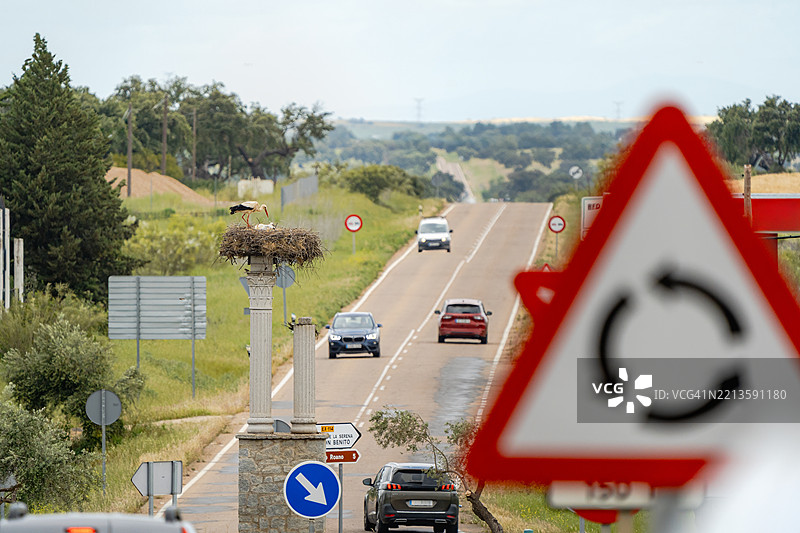 安静城市环境中的环形交叉口上的鹳巢，野生动物摄影。图片素材