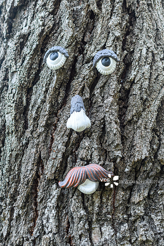 树干树皮趣味装饰图片素材