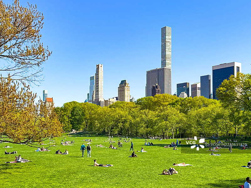 人们在纽约市中央公园的羊草地上放松休息图片素材