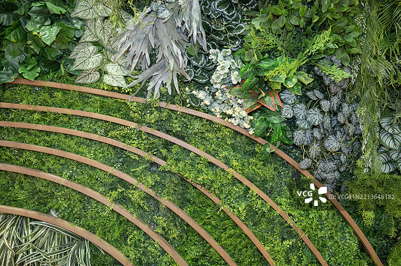 一个带有弯曲小径的绿色人造植物花园图片素材