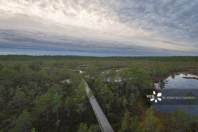 维鲁拉巴沼泽 - 黄昏之路图片素材