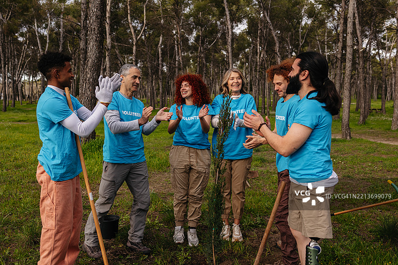 志愿者在森林中种树并鼓掌图片素材