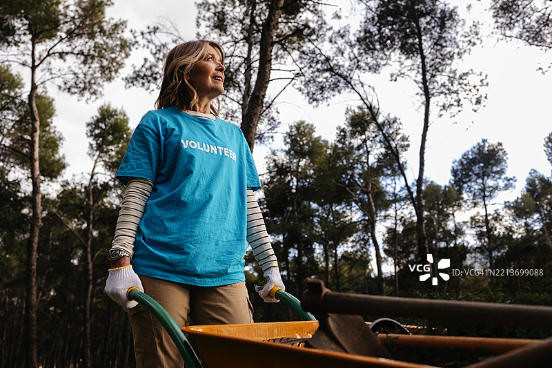 志愿者在森林中推着独轮车，抬头仰望。图片素材