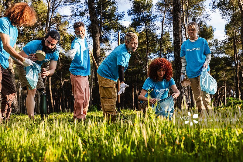 志愿者在清理活动中在森林里捡垃圾图片素材