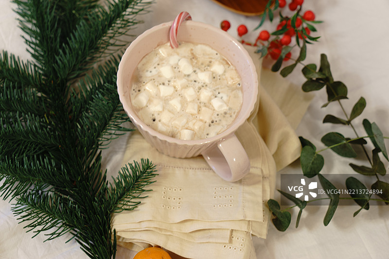温馨的冬季热巧克力，配有棉花糖和糖果手杖，周围环绕着节日的绿植图片素材