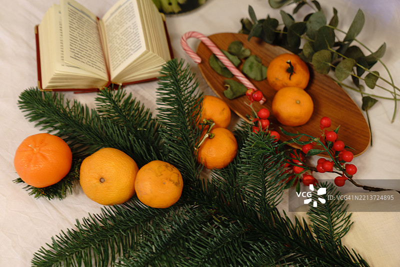节日圣诞布置，橙子与翻开的书图片素材