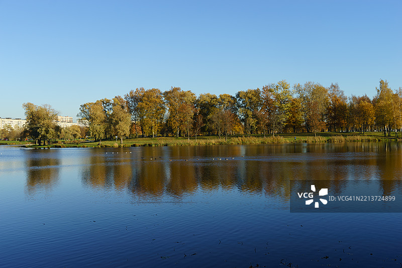 秋天的树木在宁静的湖面上倒映，蓝天清澈如洗图片素材