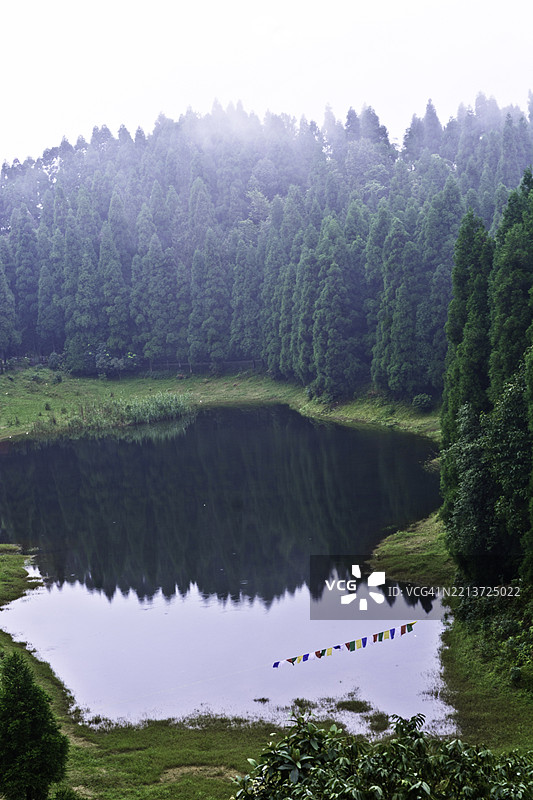 宁静湖泊中倒映着朦胧的森林图片素材