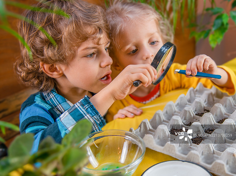 孩子们用放大镜探索自然图片素材