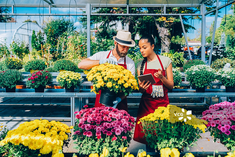 园艺中心员工共同照顾花盆的团队合作图片素材