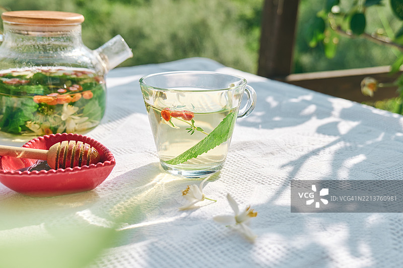 花园桌子上的玻璃茶杯里装着橙花薄荷草药茶图片素材