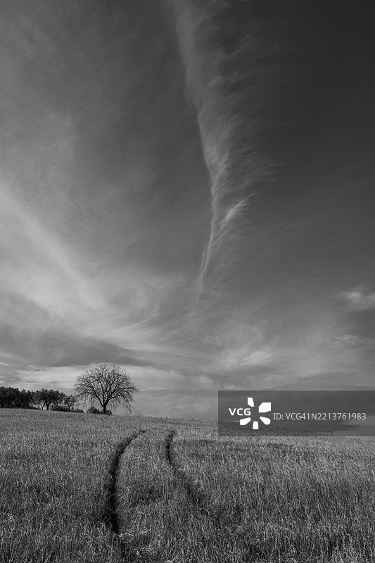农业田野上，树木的轮廓和车辙印在戏剧性的天空下。图片素材