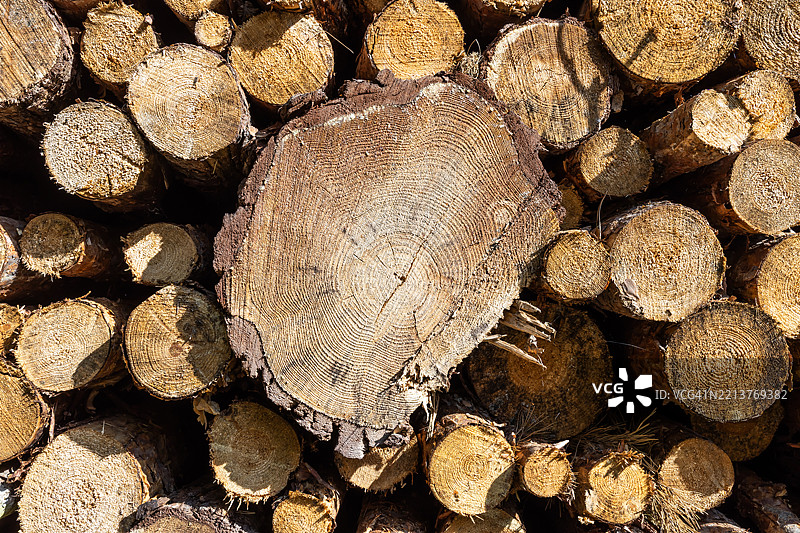 堆叠树干的圆形前景 - 背景图片素材