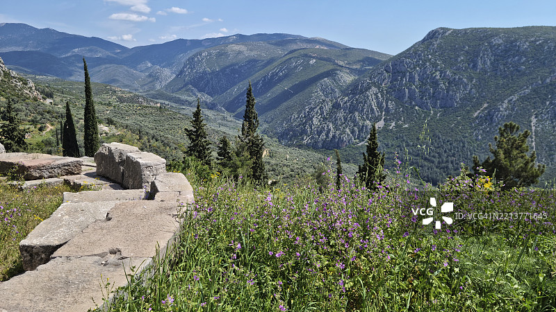 德尔菲的野花与普莱斯托斯河谷，古代福基斯，塞萨利，希腊图片素材