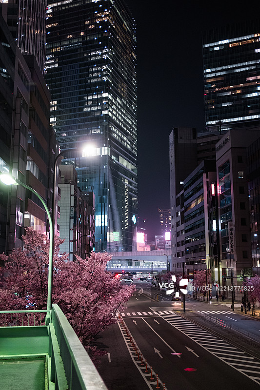 东京涩谷的春夜，闪烁的摩天大楼与街道旁的樱花营造出浪漫的城市氛围。图片素材
