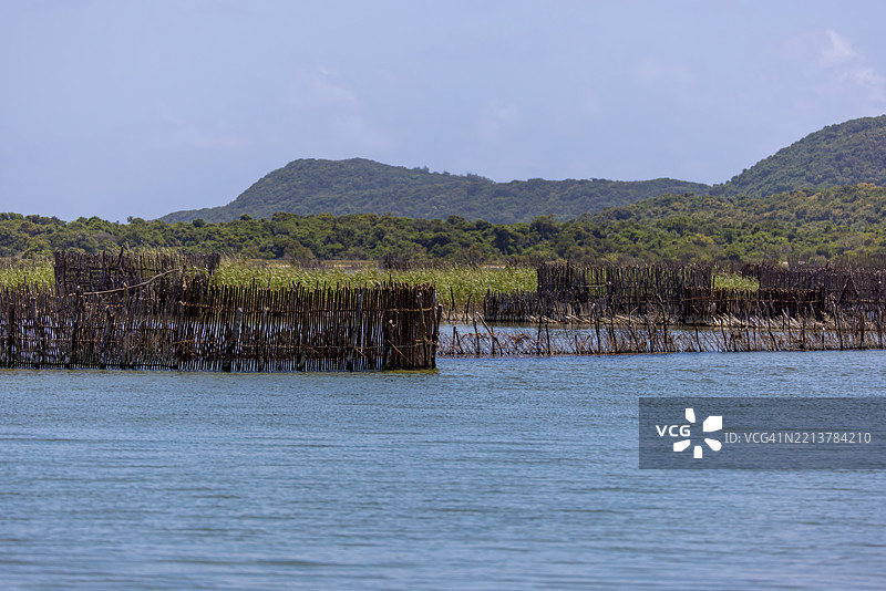 南非科西湖上延绵的传统鱼围网图片素材