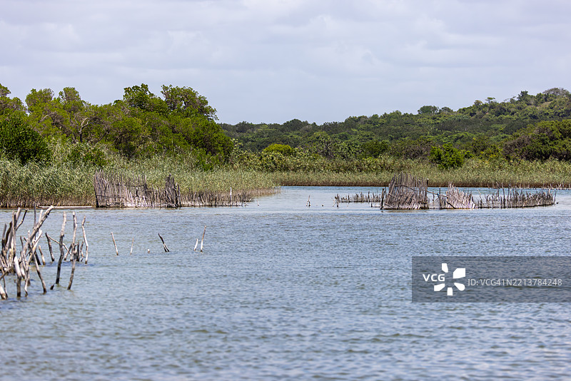 科西湾河口的传统鱼网图片素材