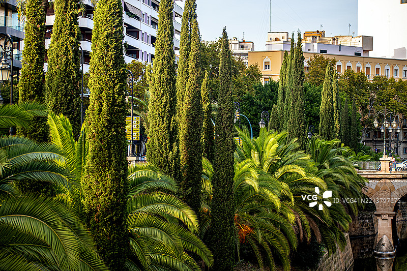 西班牙马洛卡岛帕尔马。圣卡塔利娜门桥，萨里埃拉溪，自然与建筑。图片素材