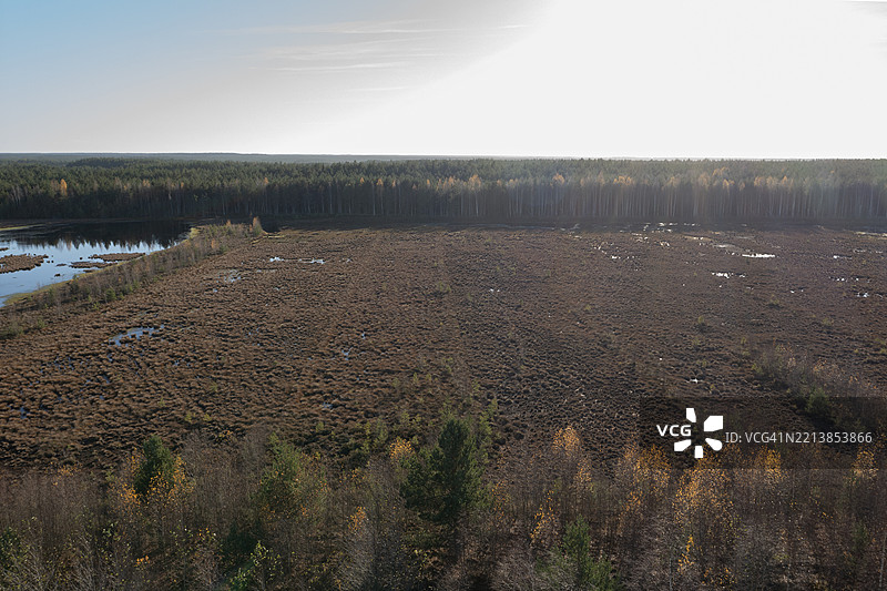 逆光的沼泽恢复 — 拉赫马国家公园图片素材