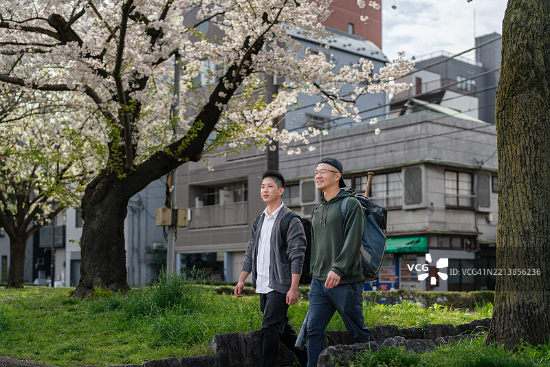 两个朋友在城市环境中樱花树下散步图片素材