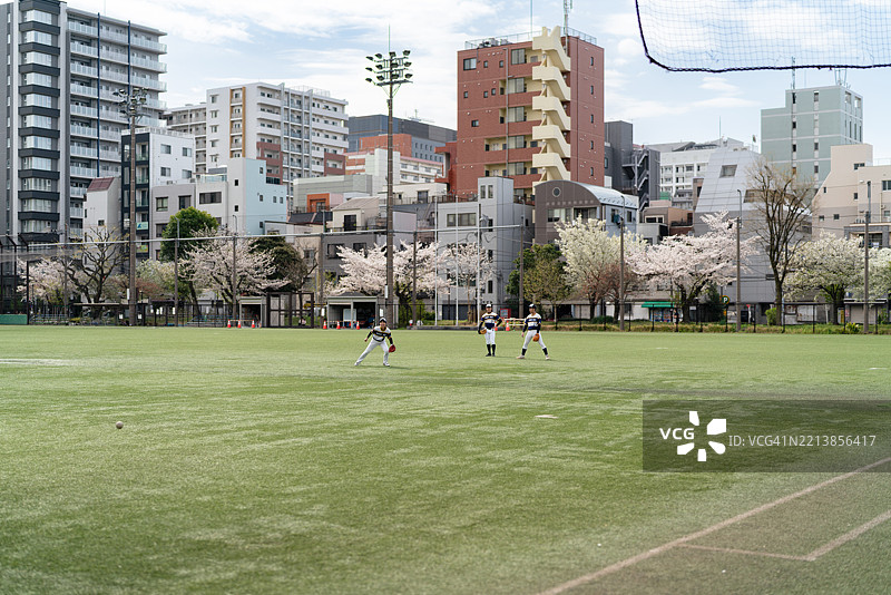 东京市区阳光明媚的球场上当地棒球队正在比赛图片素材