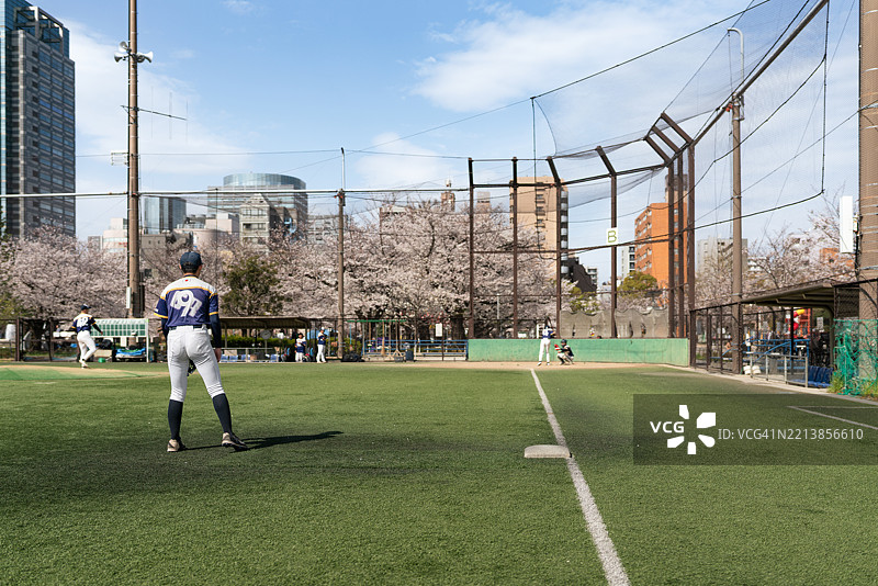 公园里的地方棒球比赛，背景是城市风景和樱花图片素材