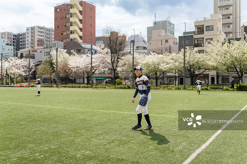东京公园樱花季节的地方棒球队比赛图片素材