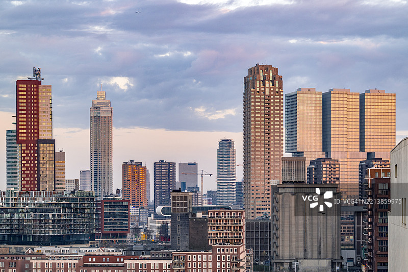 鹿特丹日出时的天际线图片素材