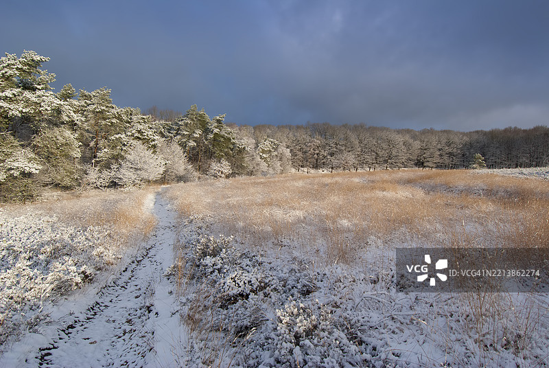 霍恩德鲁和阿佩尔多伦附近的雪封闭的申肯舒尔荒原图片素材