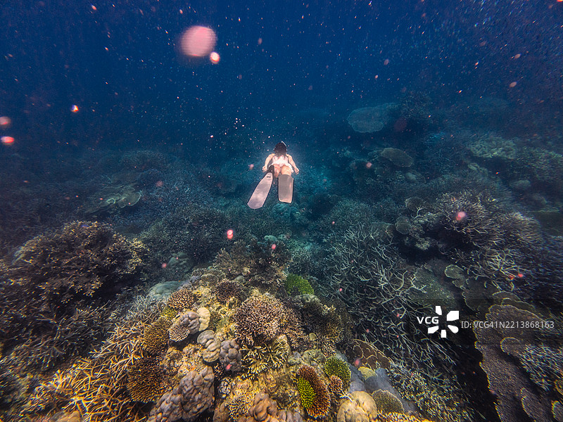 一位拥有鳍的女性优雅地潜入五彩斑斓的珊瑚礁上方，周围是清澈的海水和丰富的海洋生物多样性。图片素材
