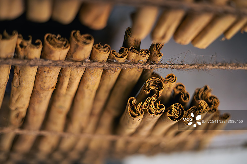 肉桂棒的干燥图片素材