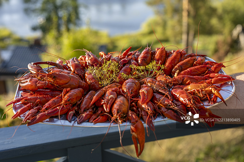 准备好的熟龙虾，适合在瑞典八月举行的龙虾派对（kräftskiva），地点在瑞典达拉纳。图片素材