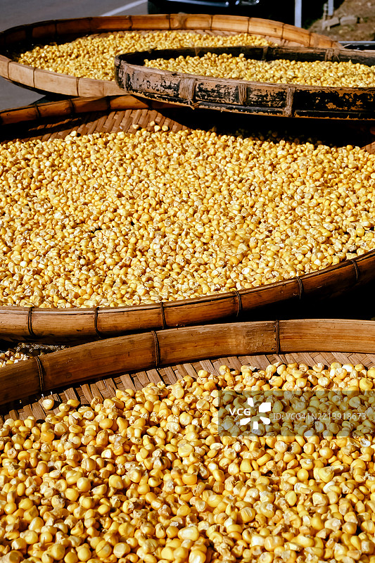 市场摊位上篮子里的玉米种子特写图片素材