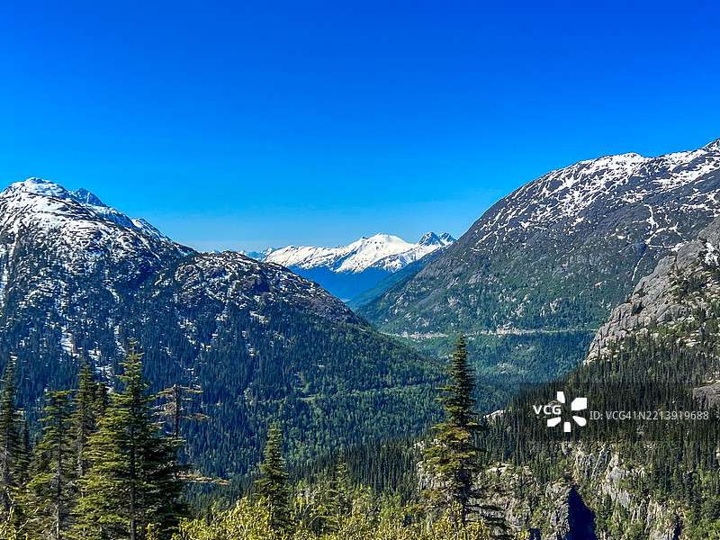 阿拉斯加荒野中的雪山和郁郁葱葱的山谷，斯卡圭，阿拉斯加，美国图片素材