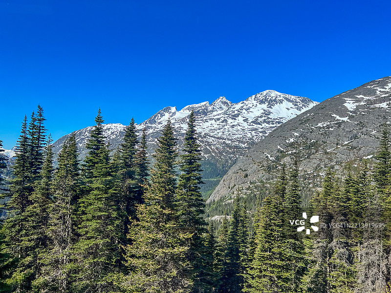 阿拉斯加斯卡圭白道的雪山和常青森林图片素材