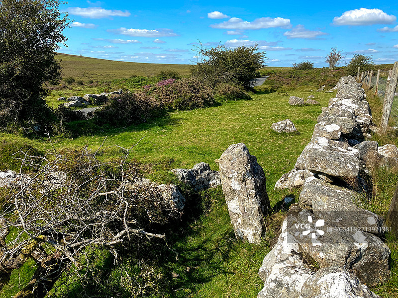 埃姆斯沃西沼泽的达特穆尔自然美景图片素材