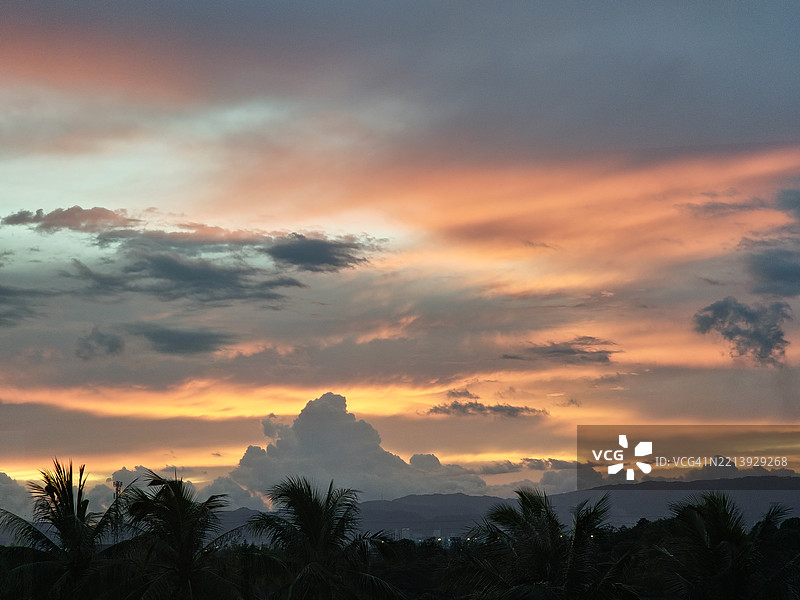 日落时分，树木剪影在天空中的低角度视图图片素材