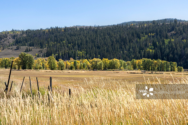 科罗拉多州的田野与晴朗天空的美丽景色， 美国图片素材