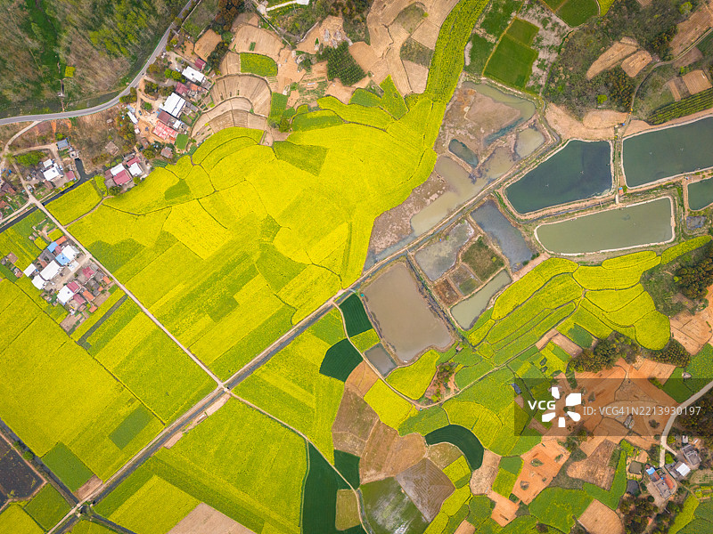 田野的鸟瞰图图片素材