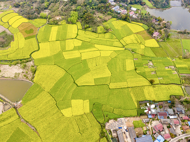 农业田地的鸟瞰图图片素材
