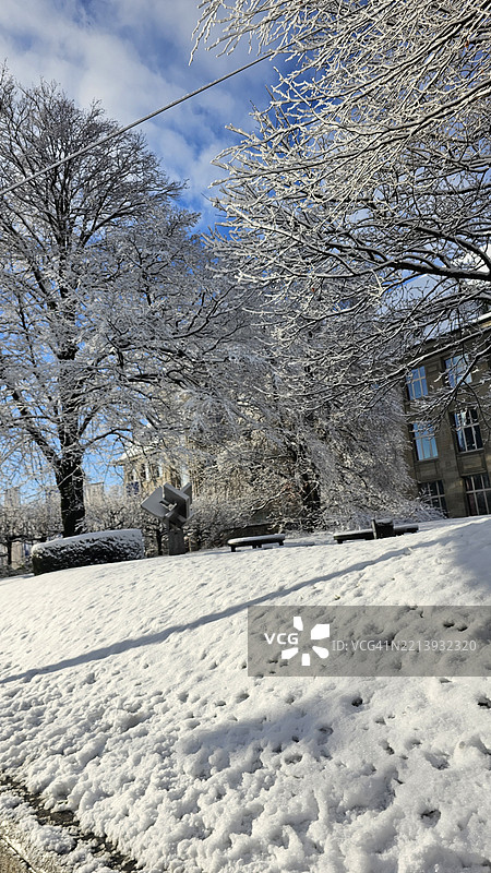 雪覆盖的田野上树木与天空相映成趣图片素材