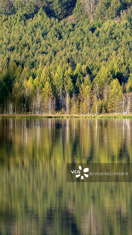 内蒙古中国金色日落下的秋季森林倒影图片素材