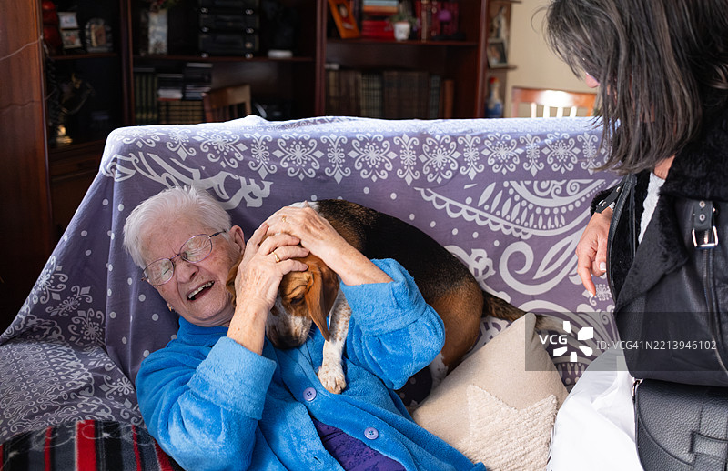 一位年长女性在家中与她的比格犬欢笑并拥抱。图片素材