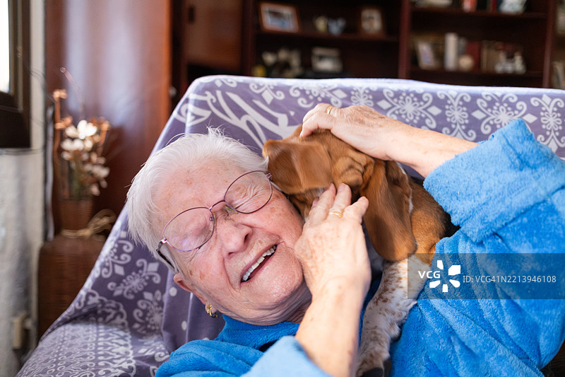 老年女性在家中抱着她的小猎犬小狗图片素材