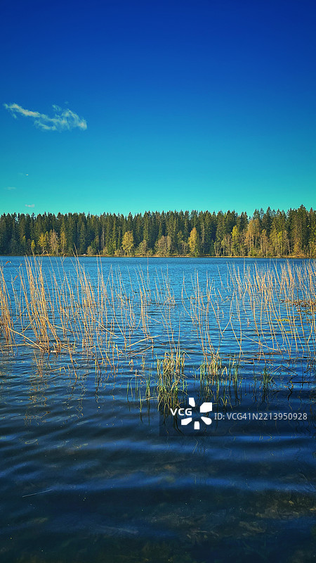 挪威的自然湖泊与蓝天图片素材