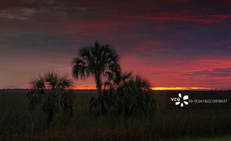 大沼泽地日出图片素材