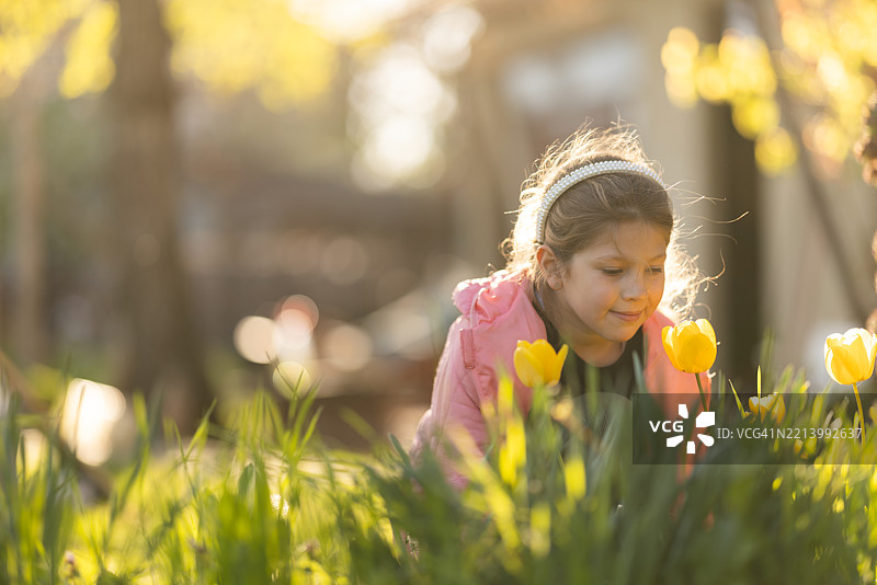 享受早春花朵的芬芳图片素材